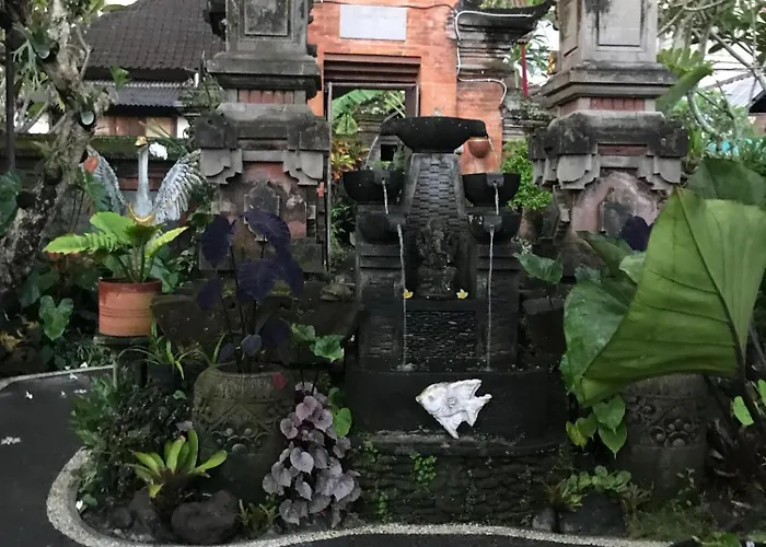 Guest house Pakjo *