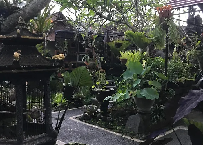 Pakjo Guest house