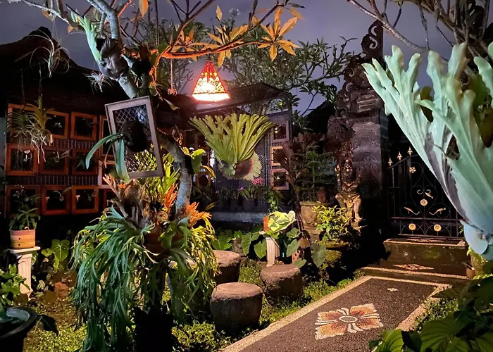 Guest house Pakjo