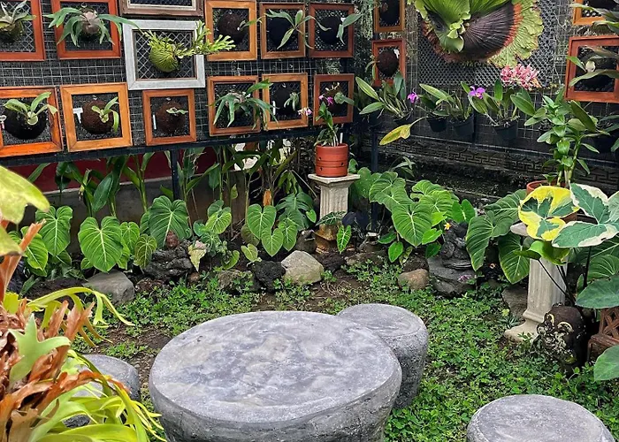 Pakjo * Ubud (Bali)