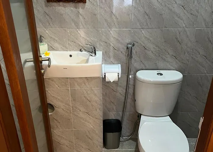 Guest house Pakjo *